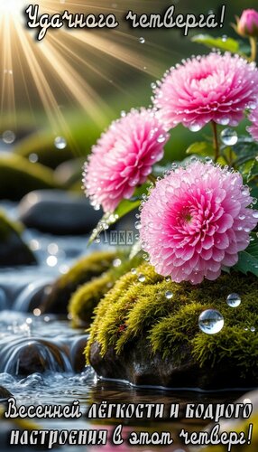 Открытка Четверг