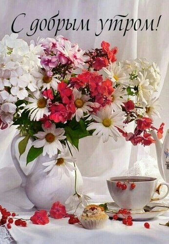 Открытка С добрым утром!