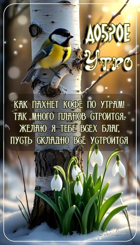 Открытка Доброе утро. Пожелание.