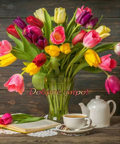 Открытка Доброе утро!