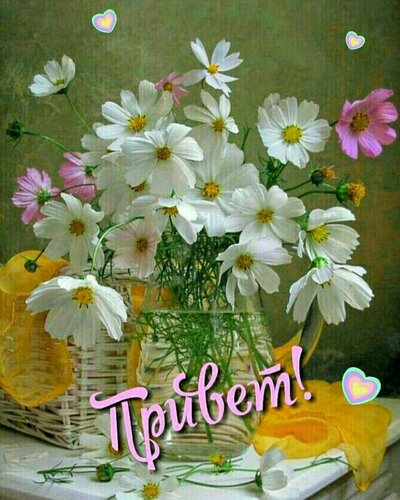 Открытка Привет!