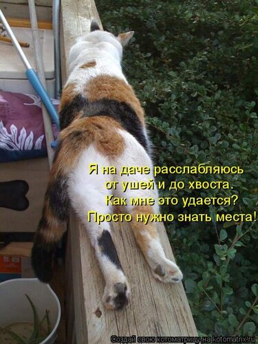 Открытка Я на даче расслабляюсь