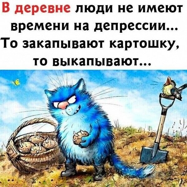 Открытка в деревне без депрессий