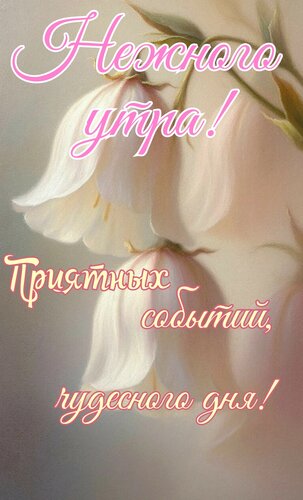 Открытка Нежного утра. Приятных событий