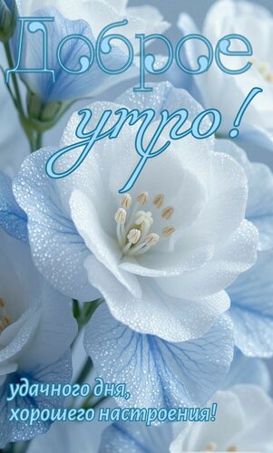 Открытка Доброе утро. Удачного дня