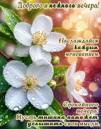 Открытка Добрый вечер