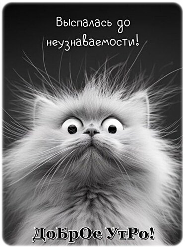 Открытка Доброе утро!