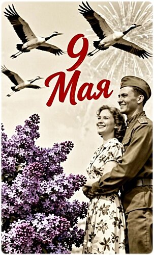 Открытка 9 мая