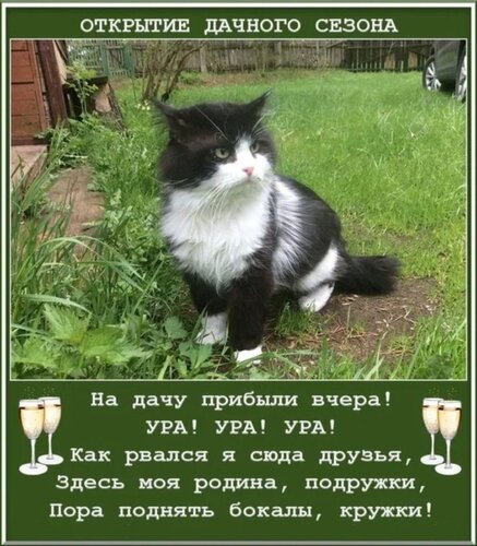 Открытка на дачу прибыли вчера