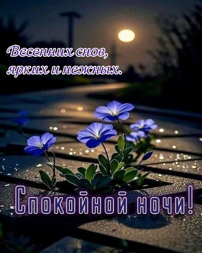 Открытка Весенних снов - ярких и нежных.