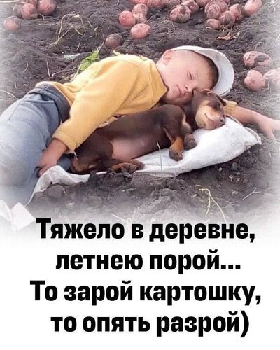Открытка тяжело в деревне летнею порой