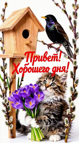 Анимированная открытка Привет! Хорошего дня!
