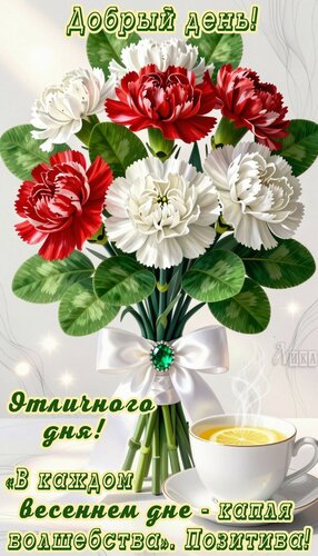 Открытка Добрый день