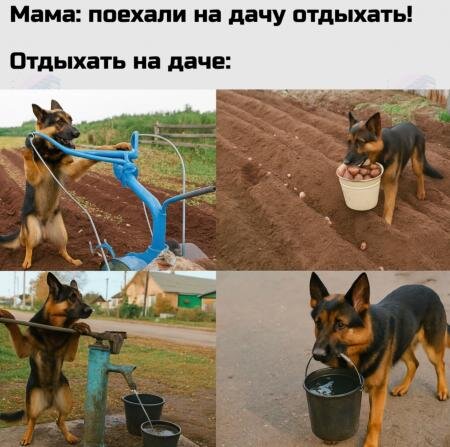 Открытка поехали на дачу отдыхать