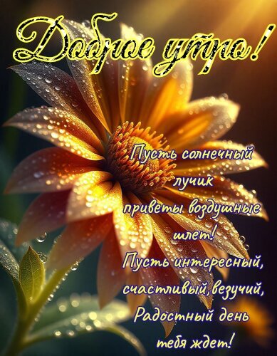 Открытка Доброе утро. Пусть солнечный лучик приветы воздушные шлёт