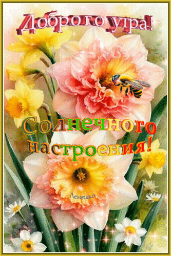 Анимированная открытка Доброго утра! Солнечного настроения!
