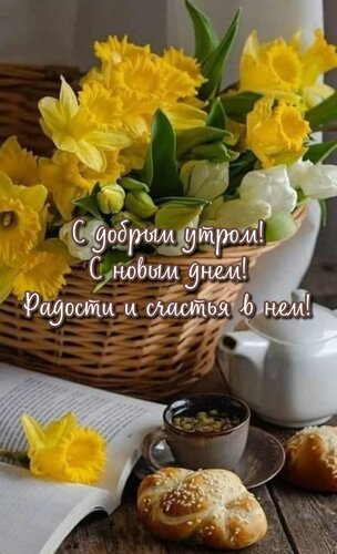 Открытка С добрым утром! С новым днем! Радости и счастья в нем!