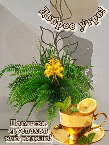 Открытка Позитива и успехов всю неделю!