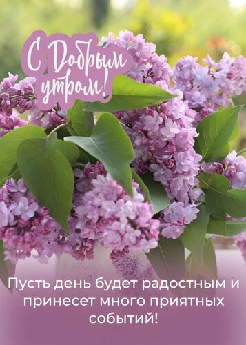 Открытка Пусть день будет радостным и принесет много приятных событий!