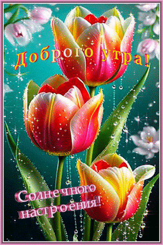 Анимированная открытка Доброго утра! Доброго дня! Солнечного настроения!