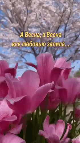 Анимированная открытка А Весна, а Весна все любовью залила...