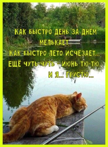 Открытка Ещё чуть-чуть июнь тю-тю