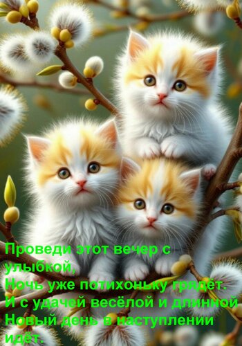 Открытка Проведи этот вечер с улыбкой, Ночь уже потихоньку грядёт. И с удачей весёлой и длинной Новый день в