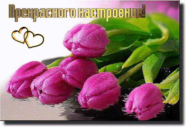 Анимированная открытка Прекрасного настроения!