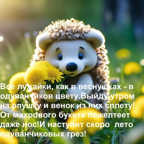 Открытка Все лужайки, как в веснушках - в одуванчиков цвету. Выйду утром на опушку и венок из них сплету!