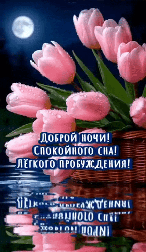 Анимированная открытка Доброй ночи! Спокойного сна! Лёгкого пробуждения!