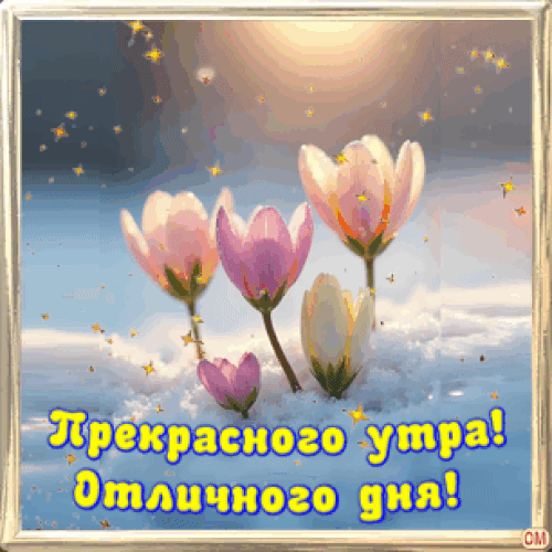 Анимированная открытка пожелания 1