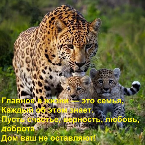 Открытка Главное в жизни — это семья, Каждый об этом знает. Пусть счастье, верность, любовь, доброта Дом ваш
