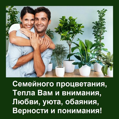 Открытка Семейного процветания, Тепла Вам и внимания, Любви, уюта, обаяния, Верности и понимания!