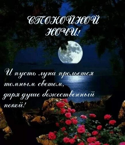 Открытка И пусть луна прольется томным светом, даря душе божественный покой!
