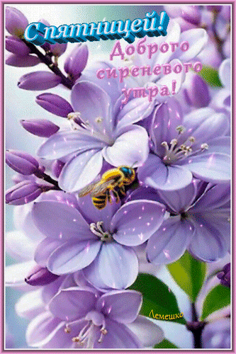 Анимированная открытка С пятницей! Доброго сиреневого утра!
