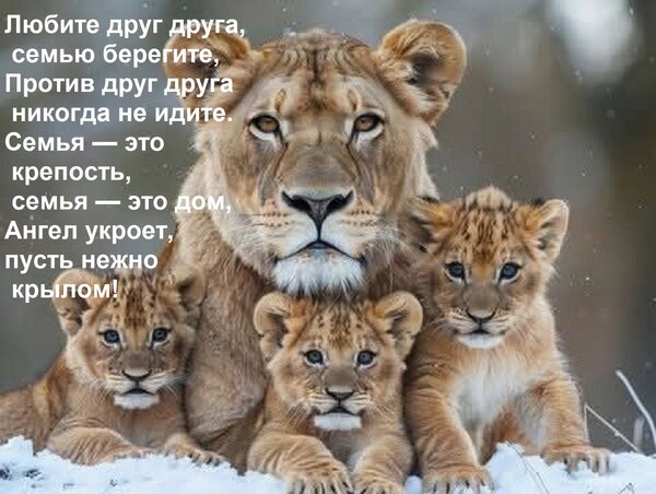 Открытка Любите друг друга, семью берегите, Против друг друга никогда не идите. Семья — это крепость, семья —