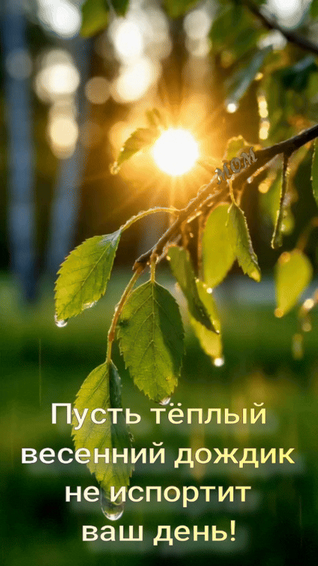 Анимированная открытка Пусть тёплый весенний дождик не испортит ваш день!