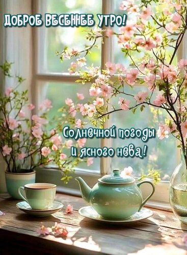 Открытка Солнечной погоды и ясного неба!