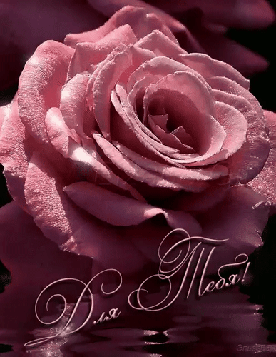 Анимированная открытка Цветы. Розы