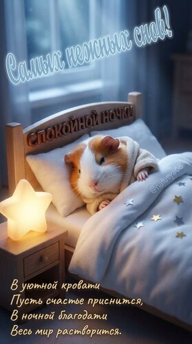 Открытка Самых нежных снов. Спокойной ночи. В уютной кровати пусть счастье приснится...