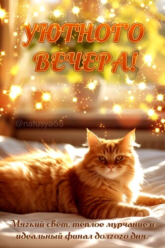 Открытка Уютного вечера. Мягкий свет, тёплое мурчание, и идеальный финал долгого дня.