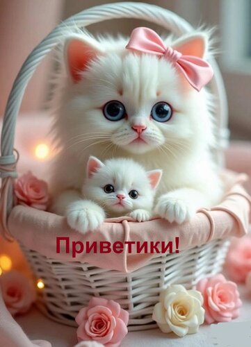 Открытка Приветики!
