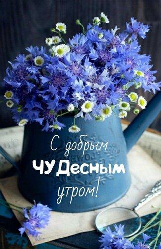 Открытка С добрым, чудесным утром