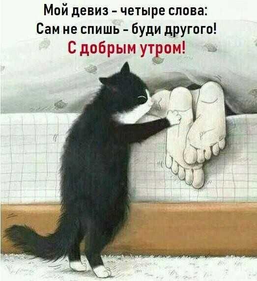 Открытка С добрым утром. Мой девиз четыре слова. Сам не спишь, буди другого