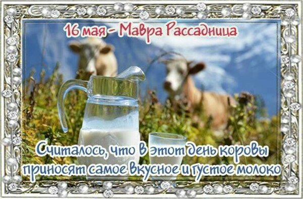 Открытка 16 мая Мавра Молочница