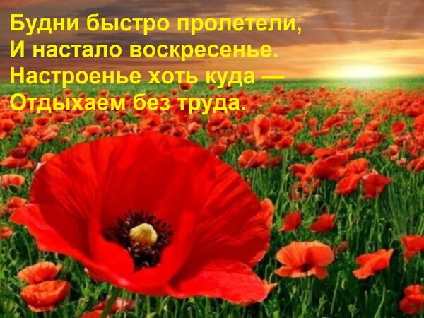 Открытка Будни быстро пролетели, И настало воскресенье. Настроенье хоть куда — Отдыхаем без труда.
