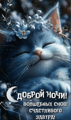 Анимированная открытка Доброй ночи! Волшебных снов! Счастливого завтра!