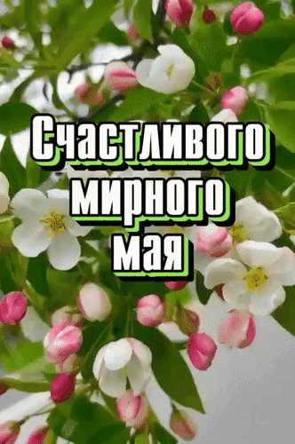 Анимированная открытка Счастливого мирного мая