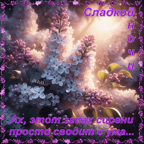 Анимированная открытка Ах, этот запах сирени просто сводит с ума... Сладкой ночи