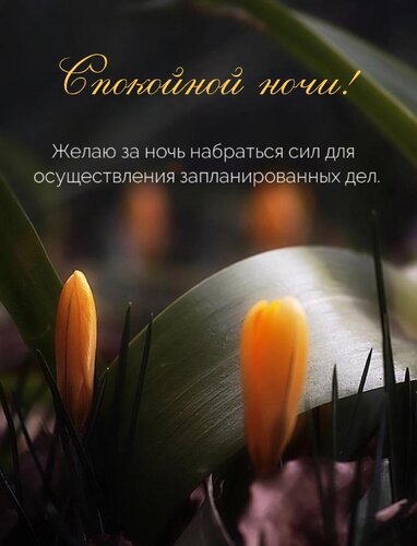 Открытка Желаю за ночь набраться сил для осуществления запланированных дел.